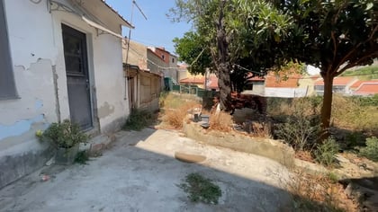 Interior courtyard with mature trees at Quinta do Ferro, São Vicente, Lisbon.